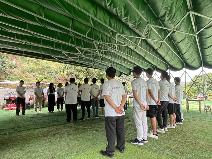香港全年最全免费资料大全